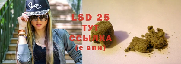 индика Белокуриха