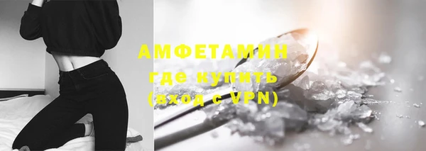 индика Белокуриха