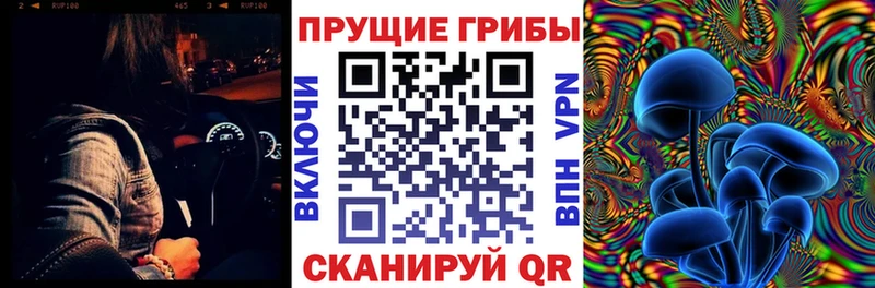 Псилоцибиновые грибы мицелий  Купить где  Бахчисарай 